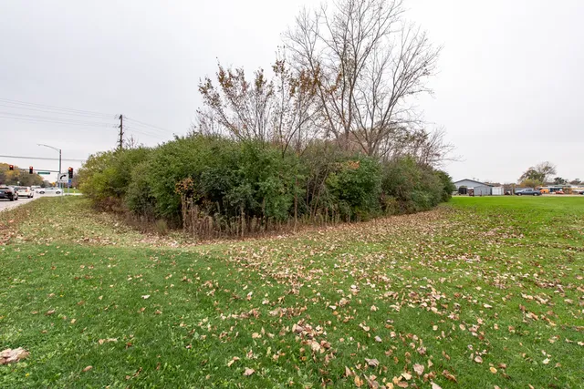 a view of a field with plants and trees
