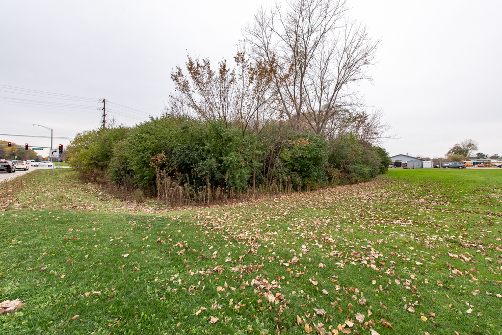 12640 West Wadsworth Road Beach Park, IL 60087 - Photo 4 of 7 a view of a field with plants and trees