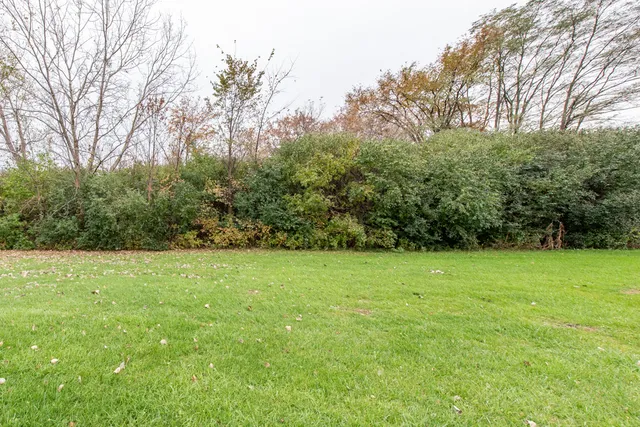 a view of field with tall trees