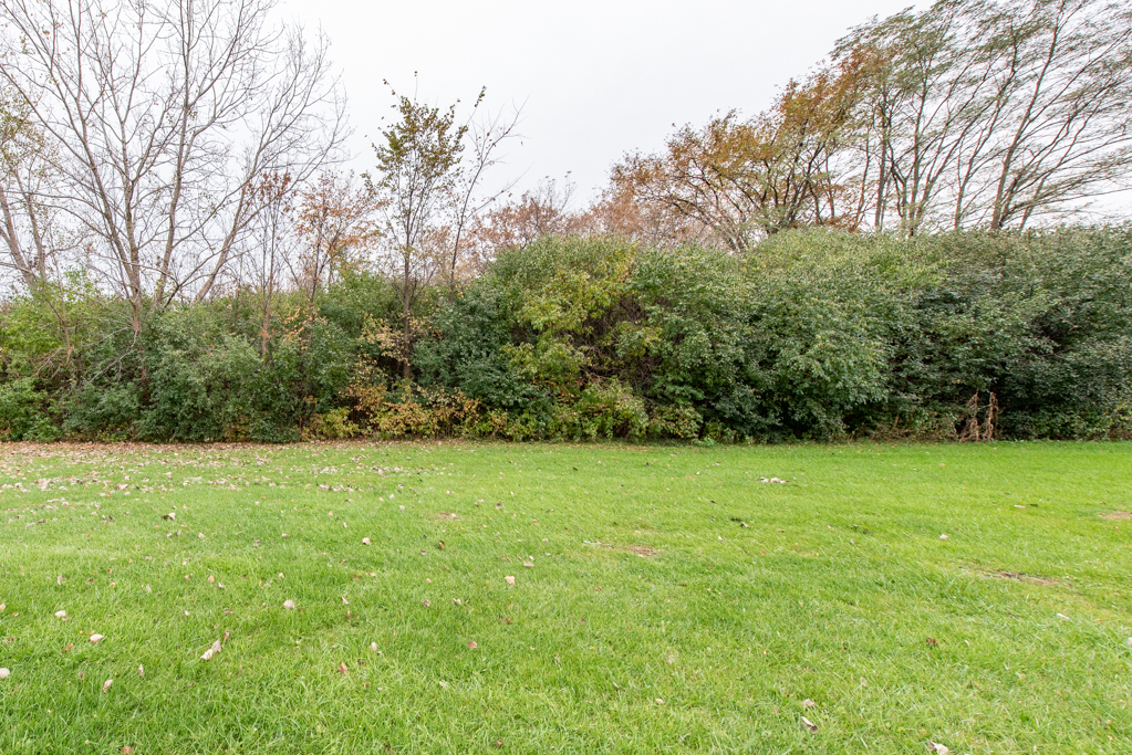 12640 West Wadsworth Road Beach Park, IL 60087 - Photo 5 of 7 a view of field with tall trees