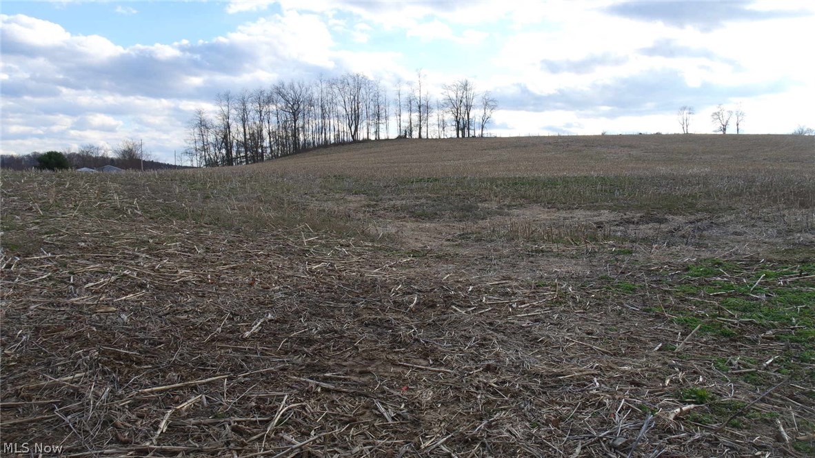 157 Twp Road Dresden, OH 43821 - Photo 11 of 12 Gallery Image 11