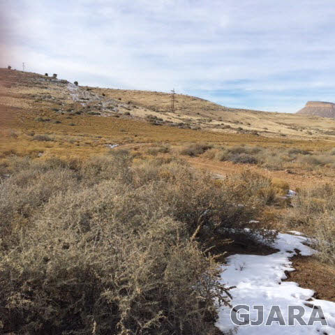 Tbd 38 Road Palisade, CO 81526 - Photo 4 of 4 a view of an ocean