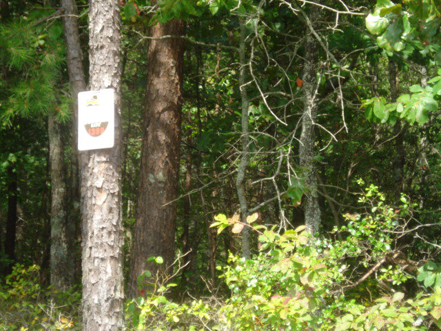 1398 Talking Rock Creek, Unit 1398 Ranger, GA 30734 - Photo 1 of 1 Main View