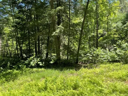 $189,000 | 0 Sapulpa Court, Ellijay, GA 30540