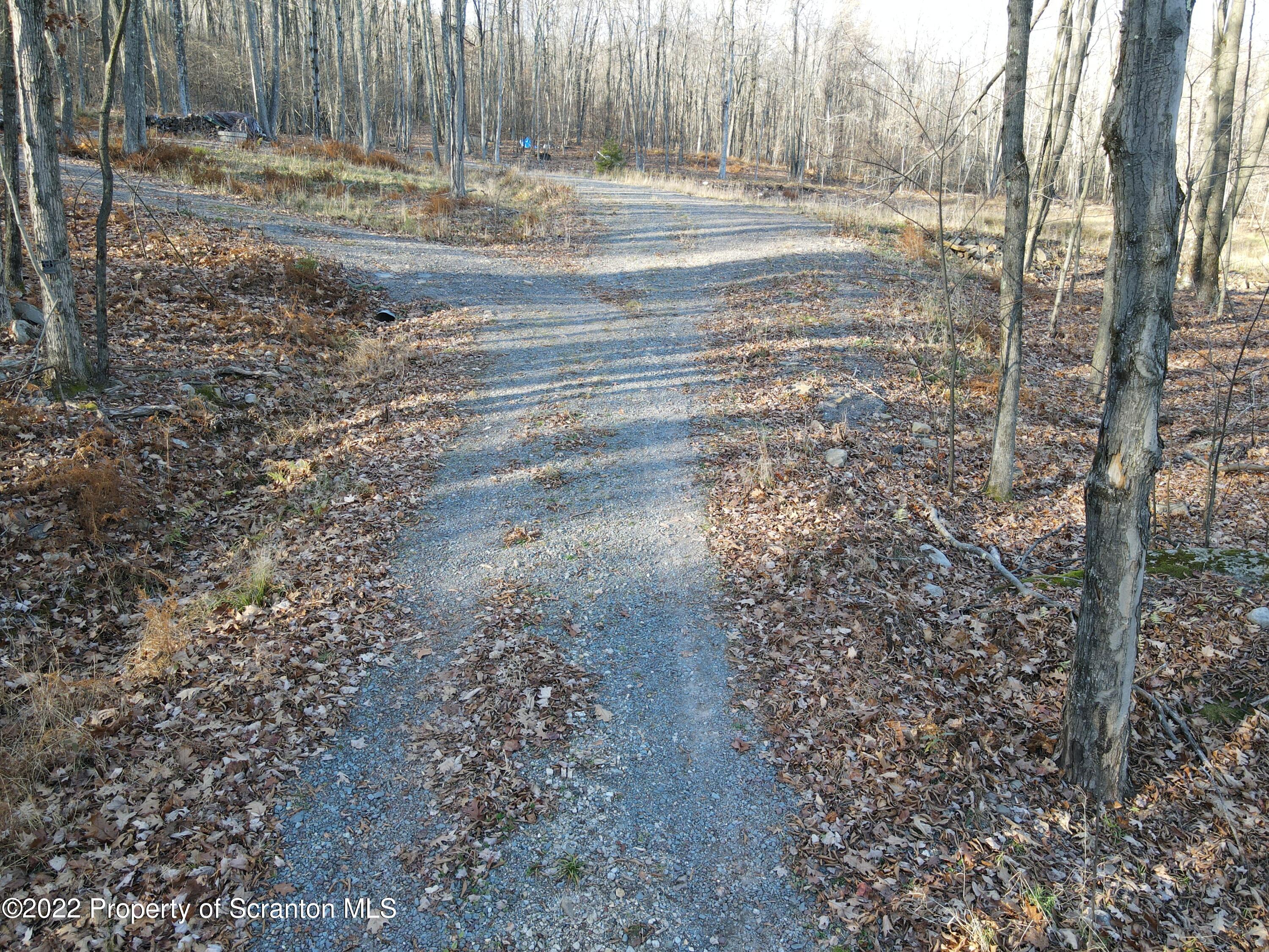 Living Waters Road Lake Ariel, PA 18436 - Photo 2 of 11 a view of a yard with trees