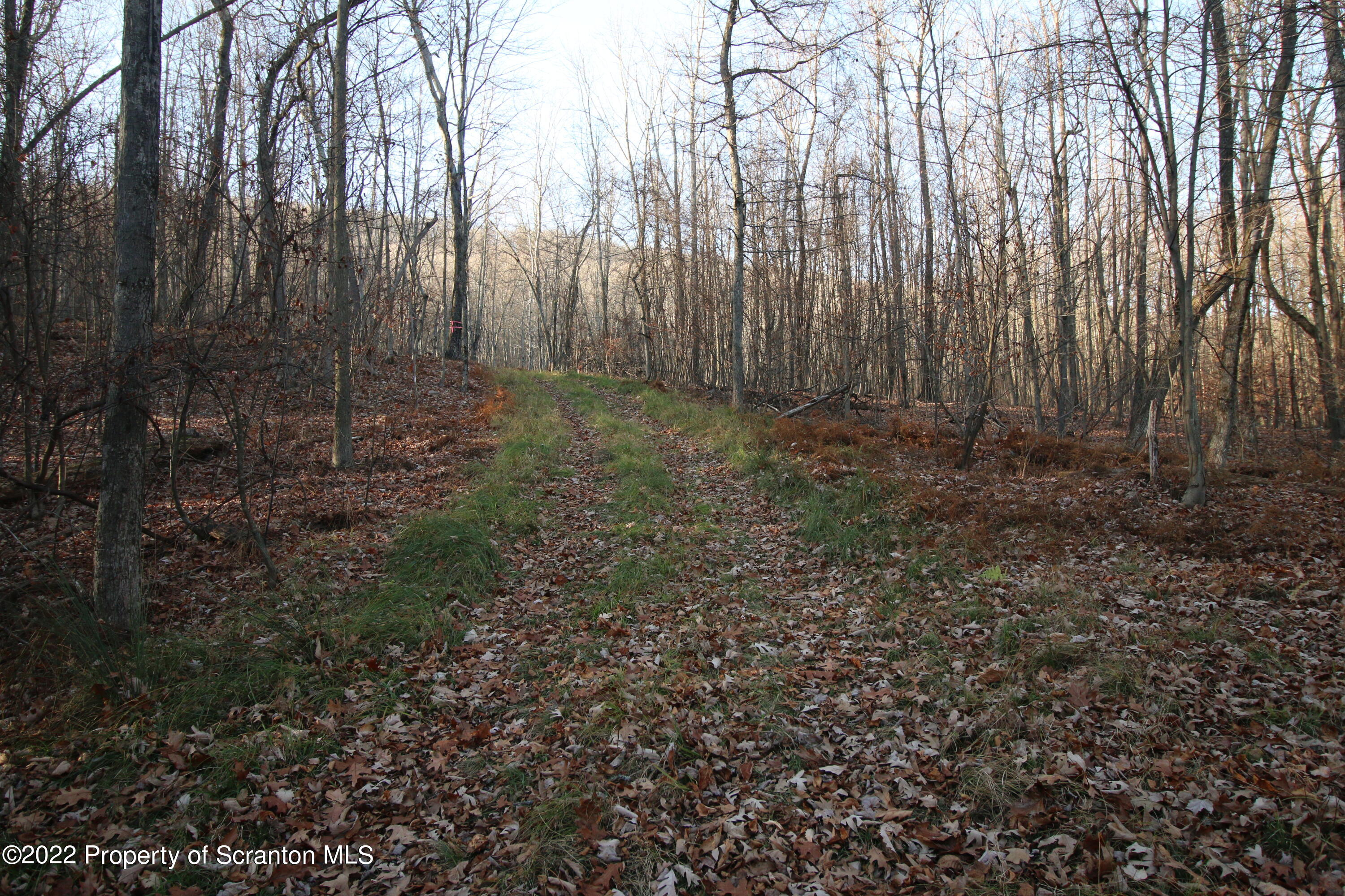 Living Waters Road Lake Ariel, PA 18436 - Photo 5 of 11 a view of a yard with large trees