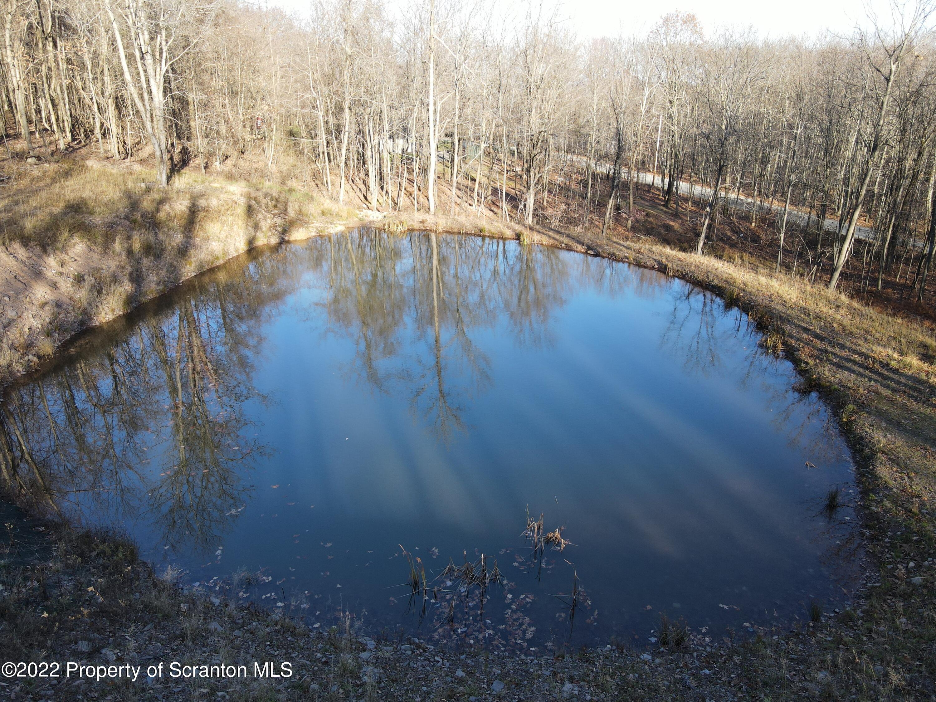Living Waters Road Lake Ariel, PA 18436 - Photo 6 of 11