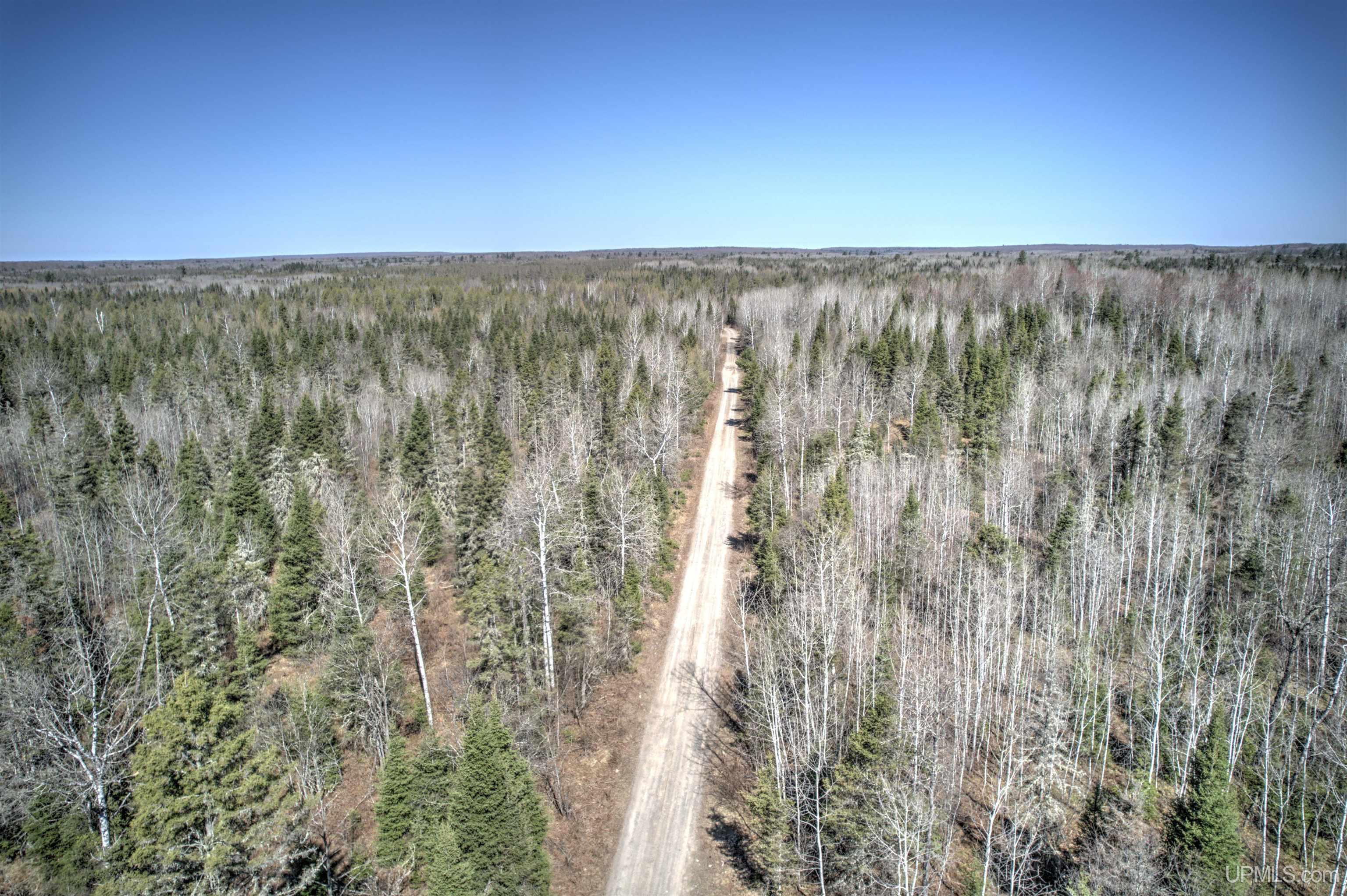 Tbd Wests Road Crystal Falls, MI 49920 - Photo 3 of 26