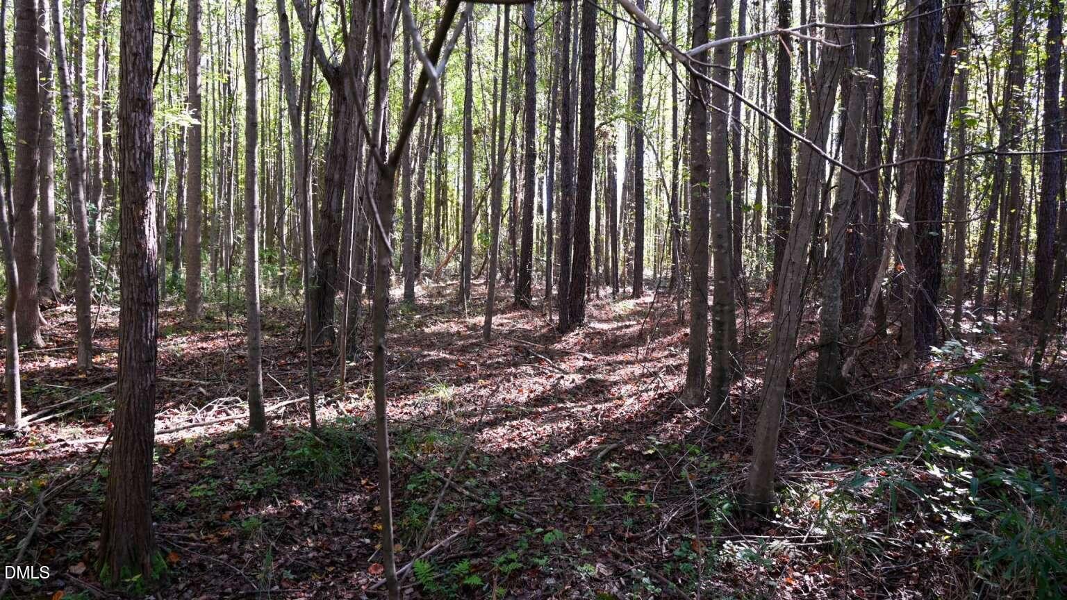 906 Shaw Mill Road Fayetteville, NC 28311 - Photo 5 of 6 Breazeale.5