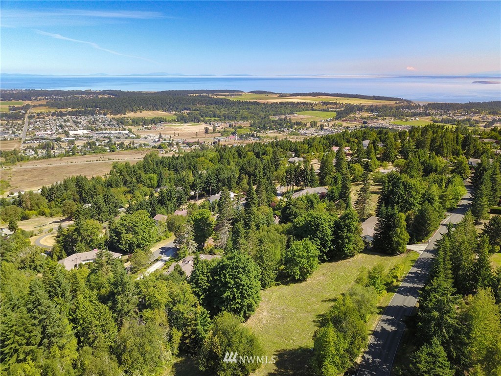 9999 Ravens Ridge Road Sequim, WA 98382 - Photo 11 of 40 a view of a city with an ocean