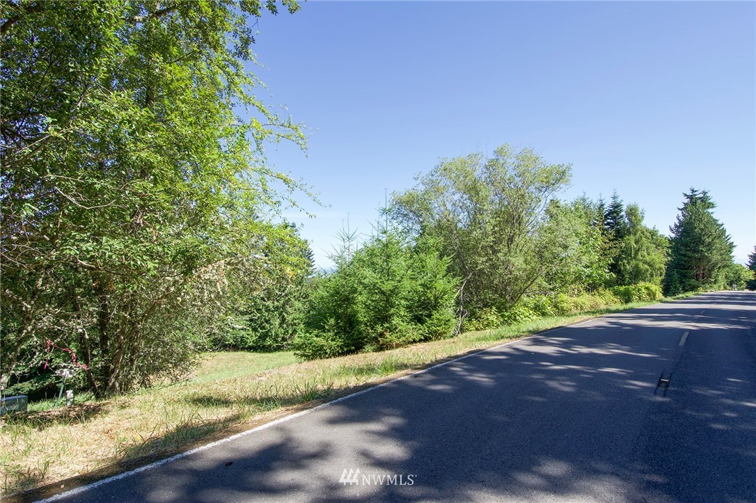 9999 Ravens Ridge Road Sequim, WA 98382 - Photo 14 of 40 a view of a yard with a tree