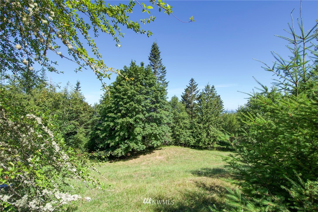 9999 Ravens Ridge Road Sequim, WA 98382 - Photo 15 of 40 a backyard of a house with lots of green space