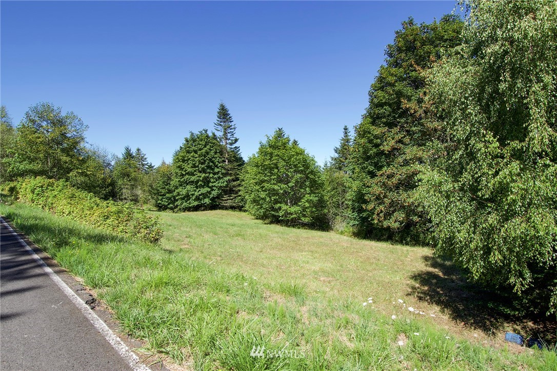 9999 Ravens Ridge Road Sequim, WA 98382 - Photo 24 of 40 a view of a yard with a tree