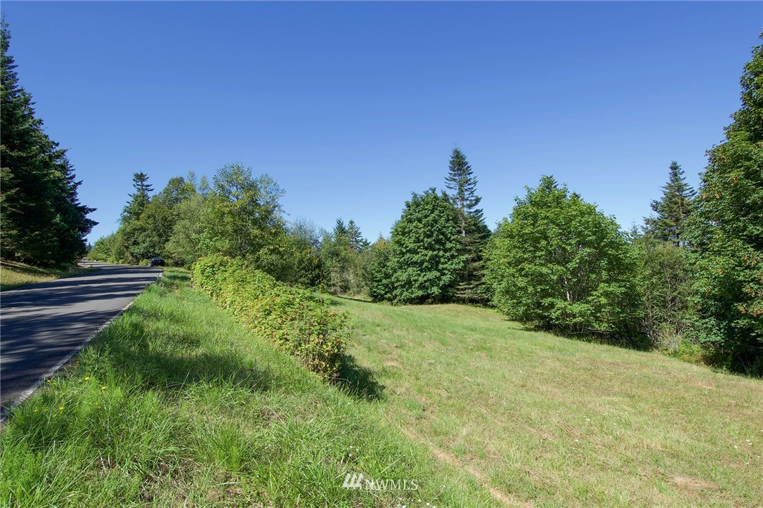 9999 Ravens Ridge Road Sequim, WA 98382 - Photo 25 of 40 a view of a yard with a tree