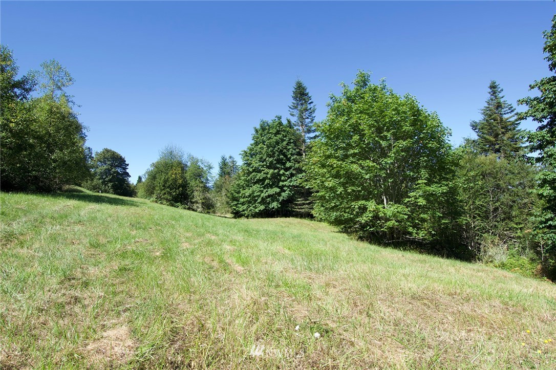 9999 Ravens Ridge Road Sequim, WA 98382 - Photo 26 of 40 a view of a yard with a tree