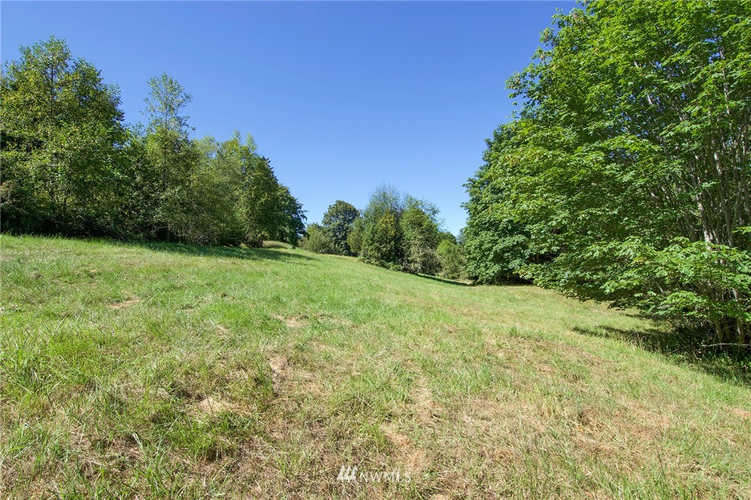 9999 Ravens Ridge Road Sequim, WA 98382 - Photo 27 of 40 a view of a yard with a tree