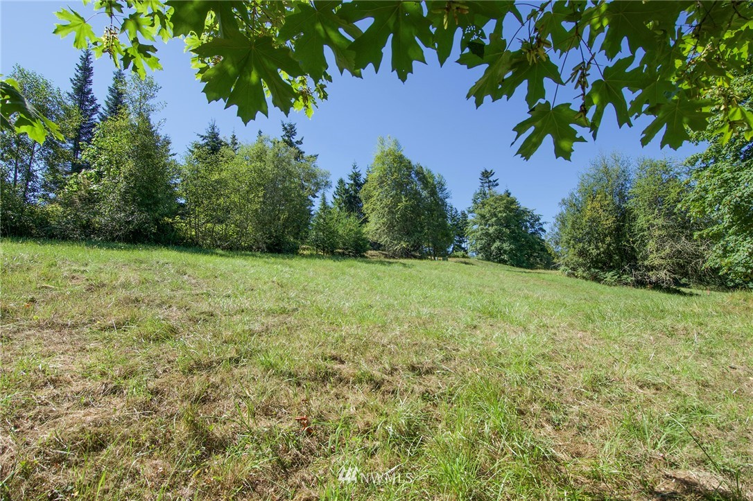 9999 Ravens Ridge Road Sequim, WA 98382 - Photo 30 of 40 a view of a yard with a tree