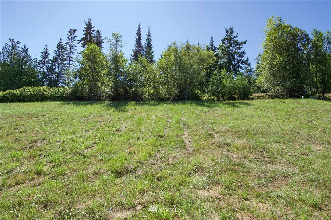 9999 Ravens Ridge Road Sequim, WA 98382 - Photo 32 of 40 a view of a field with trees in the background
