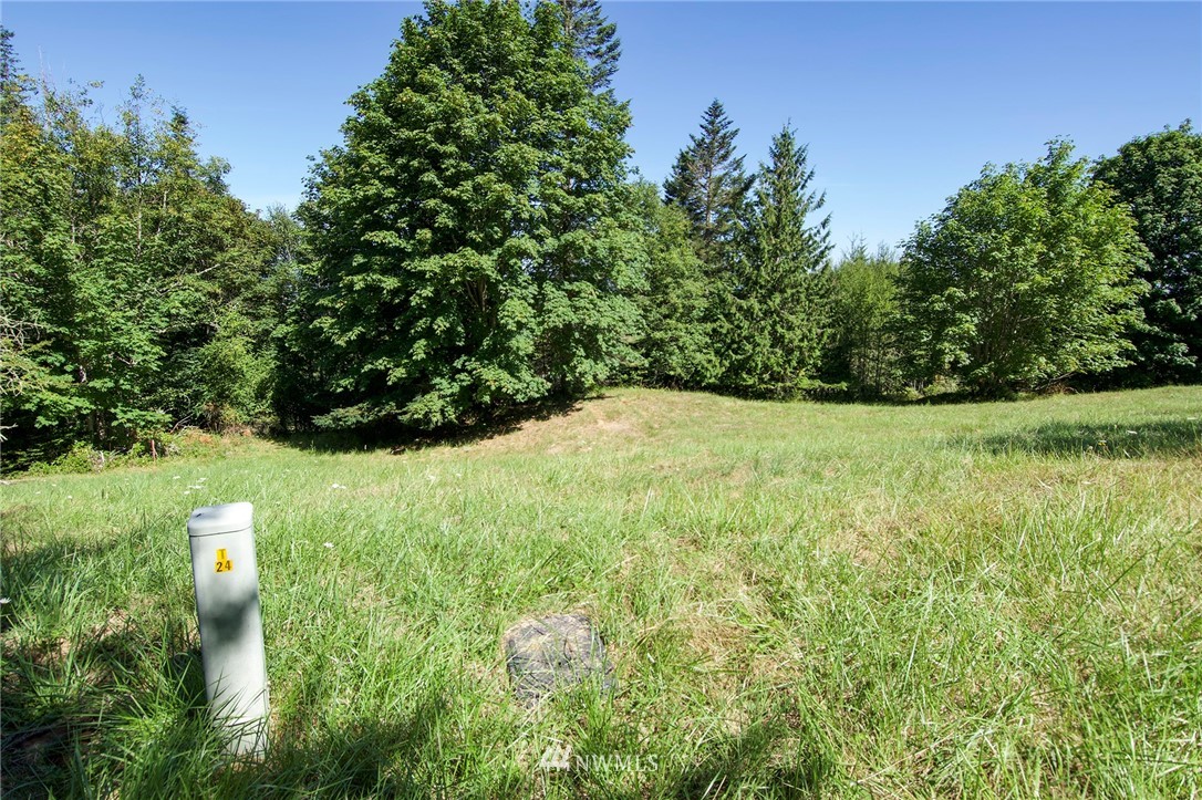 9999 Ravens Ridge Road Sequim, WA 98382 - Photo 35 of 40 a view of a green yard