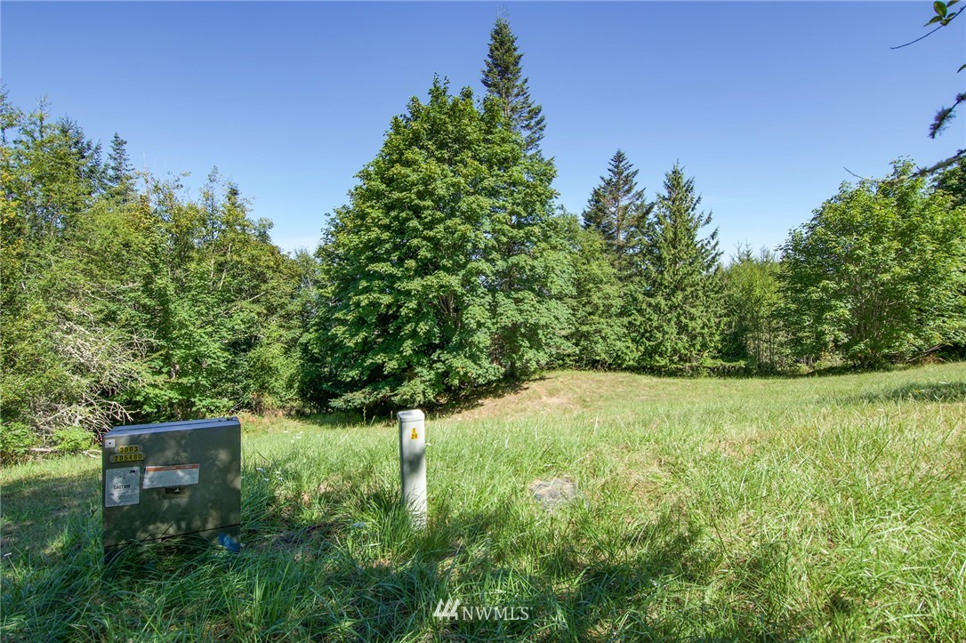 9999 Ravens Ridge Road Sequim, WA 98382 - Photo 36 of 40 a view of outdoor space and yard