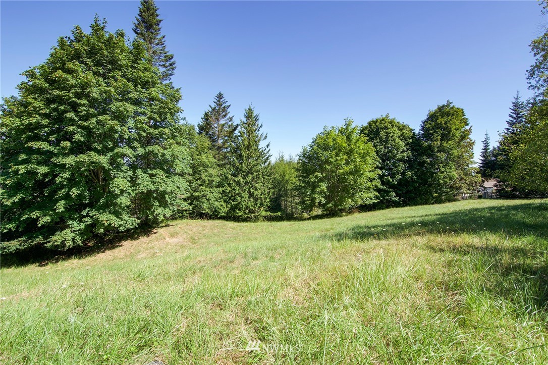 9999 Ravens Ridge Road Sequim, WA 98382 - Photo 37 of 40 a view of a yard with a tree