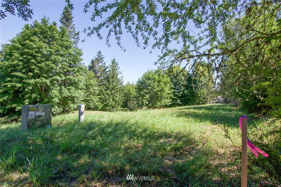 9999 Ravens Ridge Road Sequim, WA 98382 - Photo 38 of 40 a view of a lake with a tree