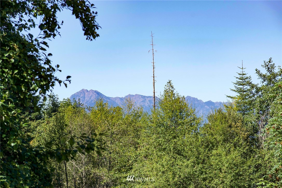 9999 Ravens Ridge Road Sequim, WA 98382 - Photo 40 of 40 a large body of water with a tree in the background