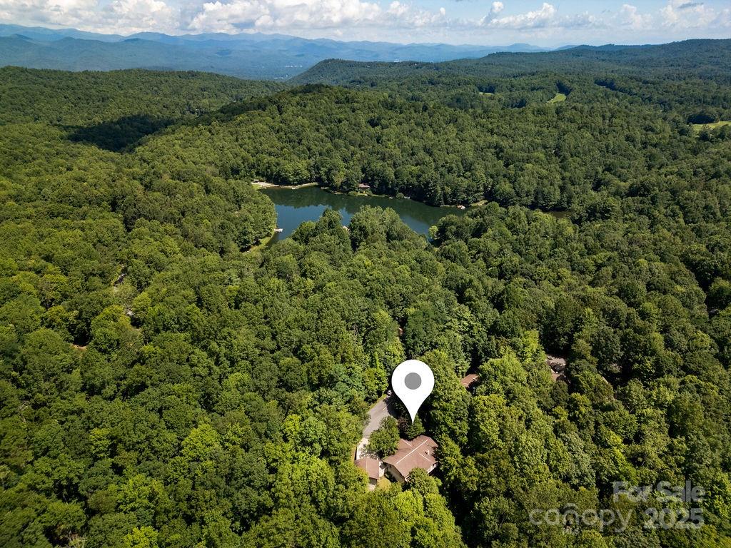 58 Warwaseeta Court Brevard, NC 28712 - Photo 4 of 48 a view of a back yard and swimming pool