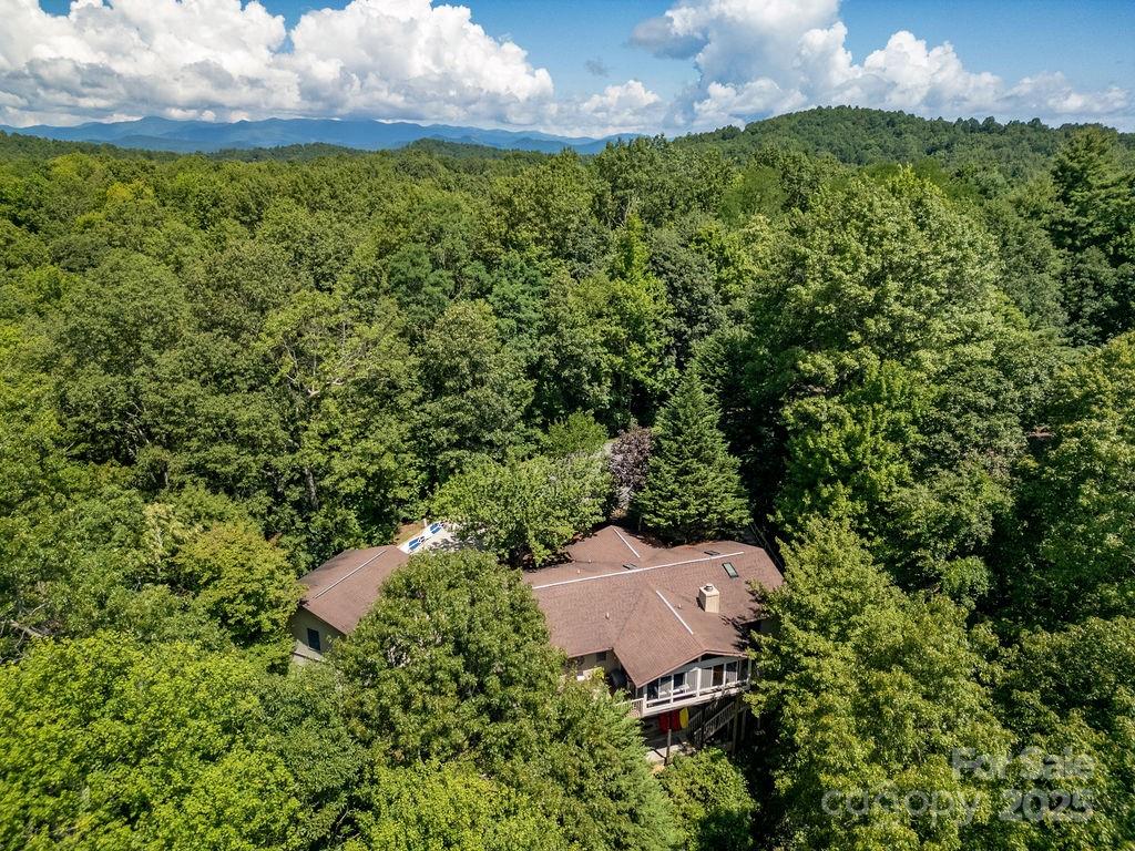 58 Warwaseeta Court Brevard, NC 28712 - Photo 5 of 48 an aerial view of a house with a yard and lake view