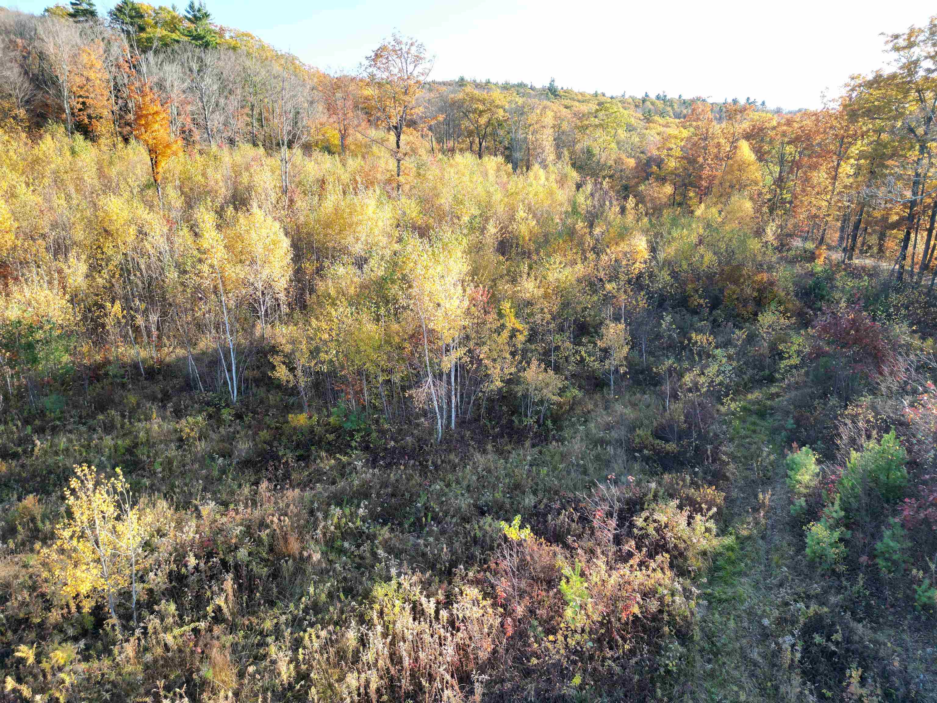 0 Black North Road Acworth, NH 03601 - Photo 15 of 17