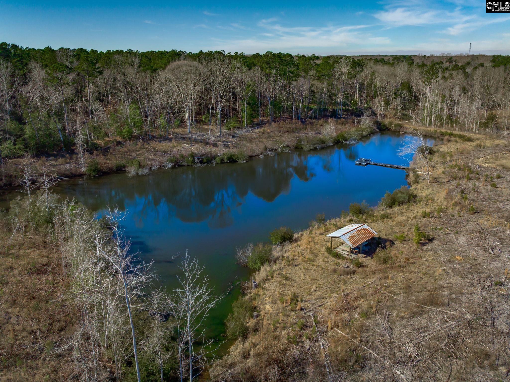 501 Crooked Creek Road Chapin, SC 29036 - Photo 1 of 28