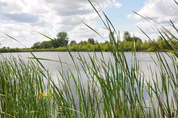 $119,900 | 1309 20th Avenue South, Sartell, MN 56377