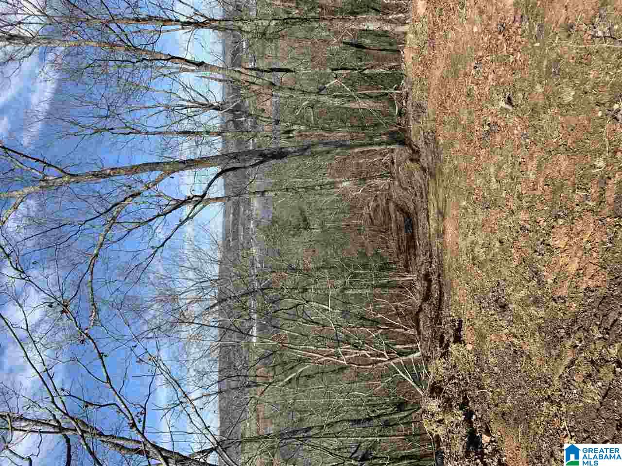 79 Highway 79 Cleveland, AL 35049 - Photo 32 of 36