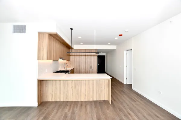 $9,121 | 1000 South Michigan Avenue, Unit 6206, Chicago, IL 60605