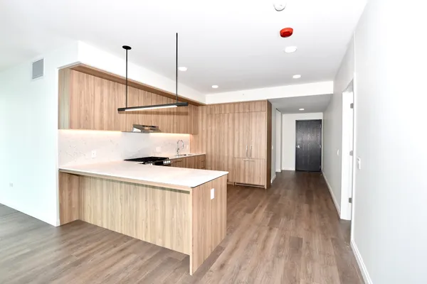 $9,121 | 1000 South Michigan Avenue, Unit 6206, Chicago, IL 60605