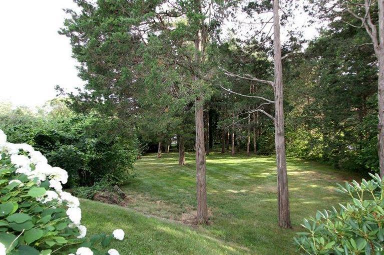 128 Little Neck Bars Road Falmouth, MA 02540 - Photo 30 of 35 a view of a tree in a yard