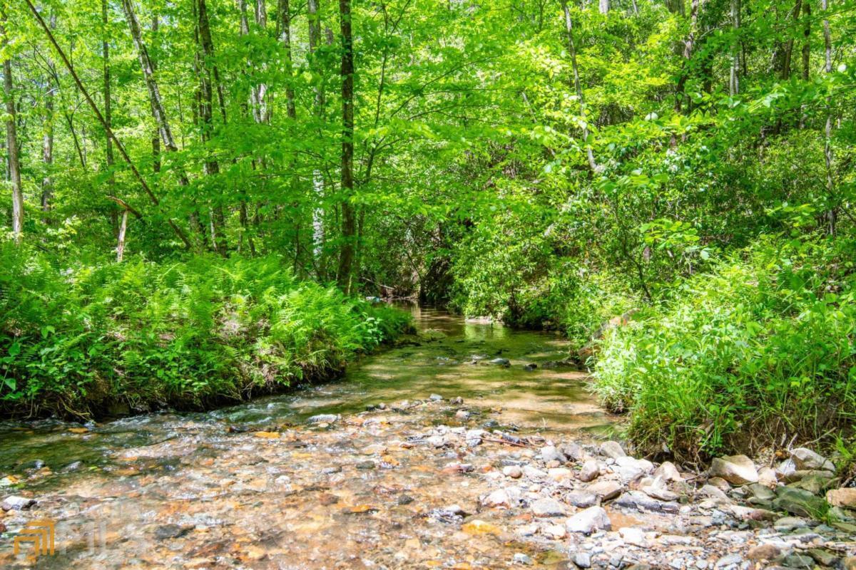 Lot 2 Owltown Road Ellijay, GA 30536 - Photo 1 of 1 Gallery Image 1