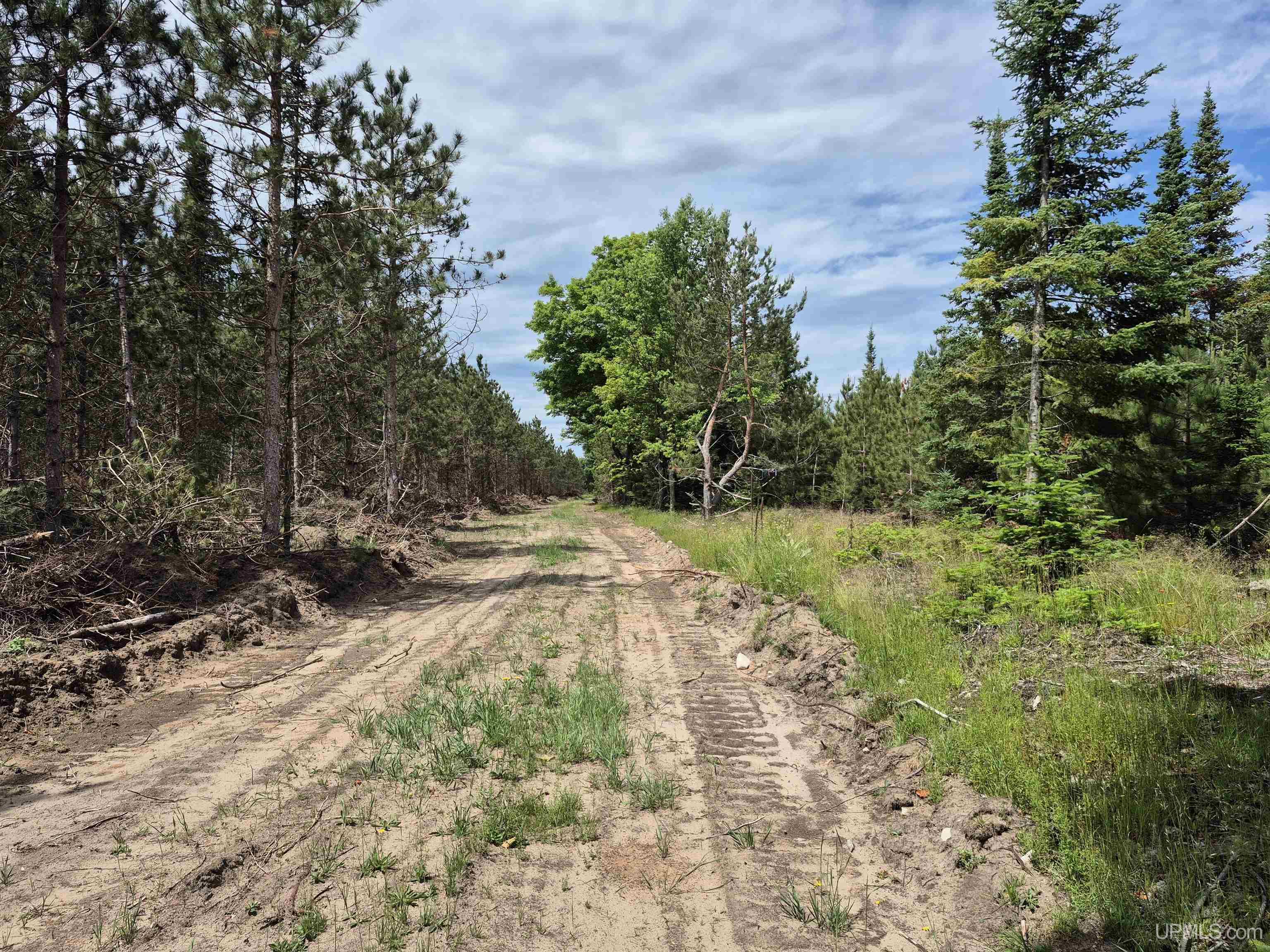 80-acres Off Little Harbor Road Manistique, MI 49854 - Photo 1 of 14 Gallery Image 1