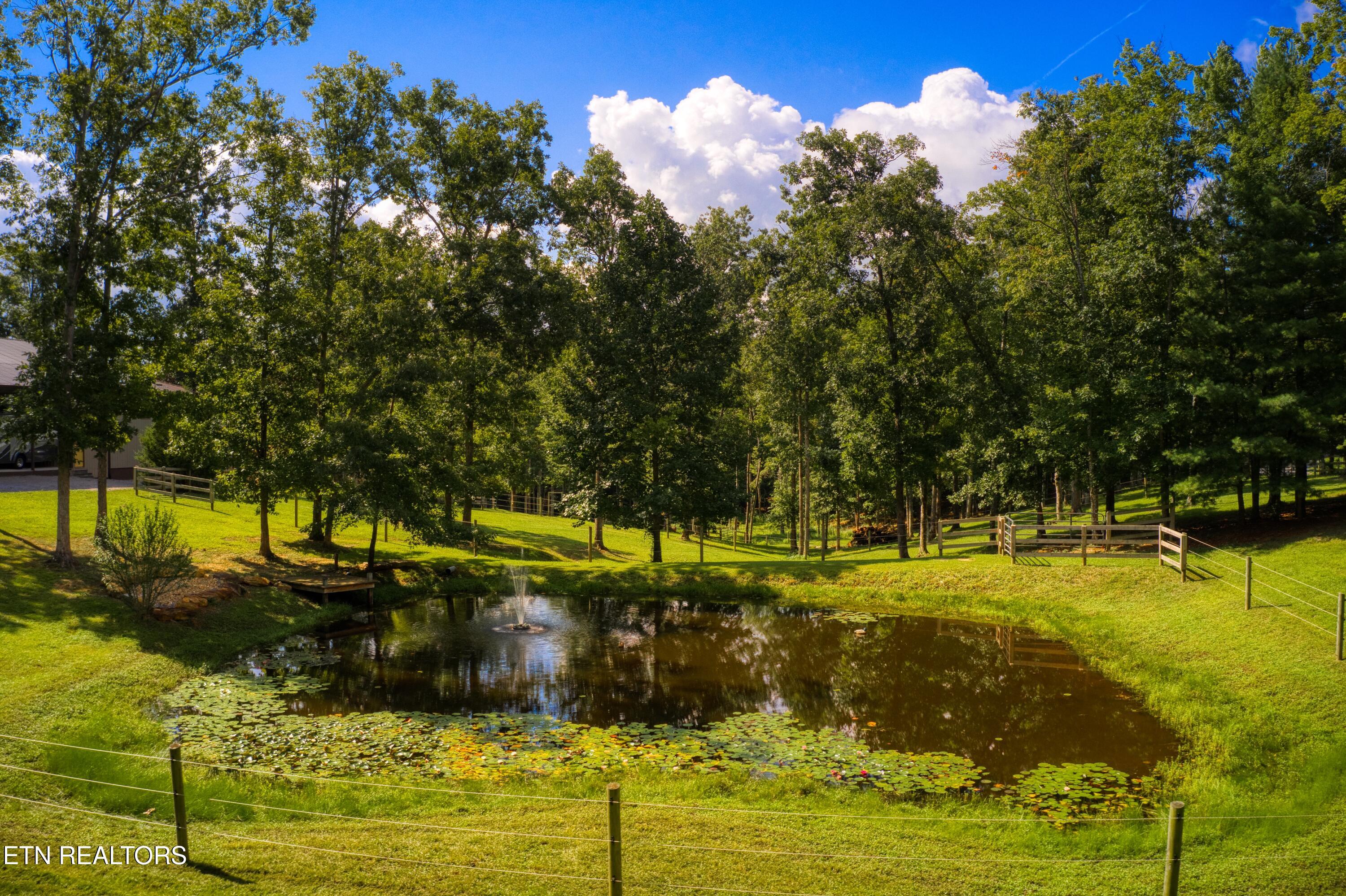 328 Briar Point Road Allardt, TN 38504 - Photo 57 of 57 DJI_0111