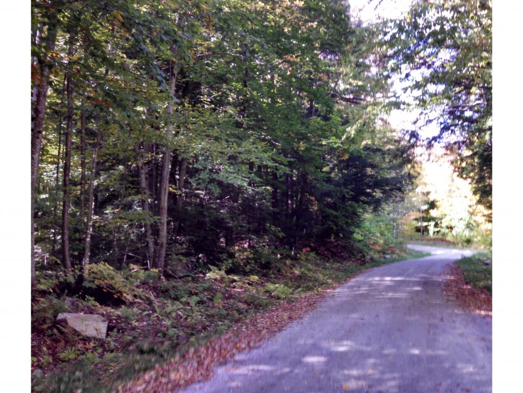 Lot 88 Ross Road Readsboro, VT 05350 - Photo 4 of 5 Gallery Image 4