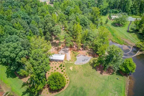 a view of a yard with plants and large trees