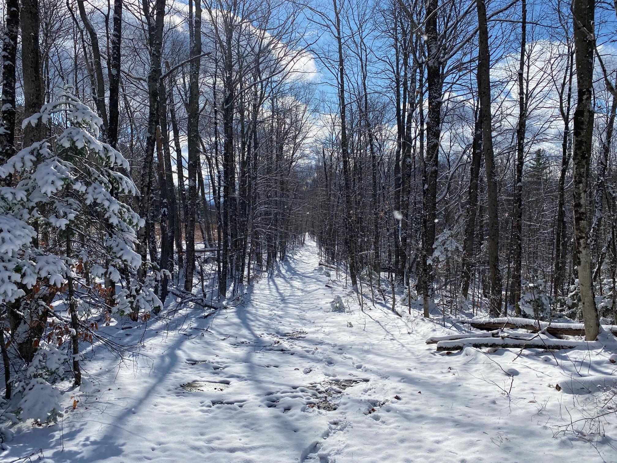 0 Pillsbury Road Garland, ME 04939 - Photo 1 of 13 1