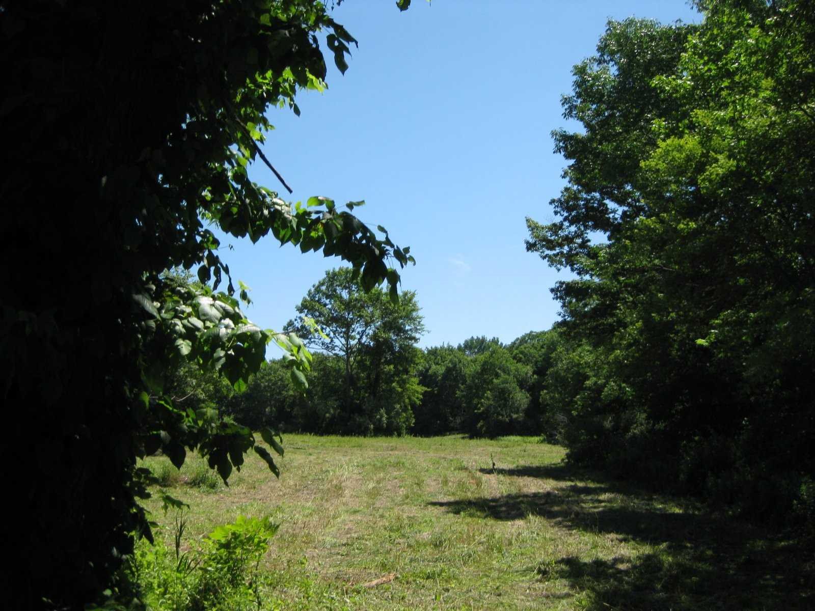 Ridge Road Millbrook, NY 12545 - Photo 4 of 4