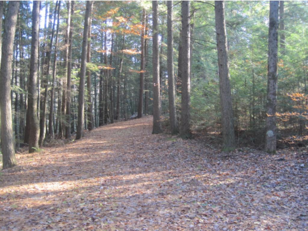 591 Van Cortland Road Brandon, VT 05733 - Photo 5 of 12