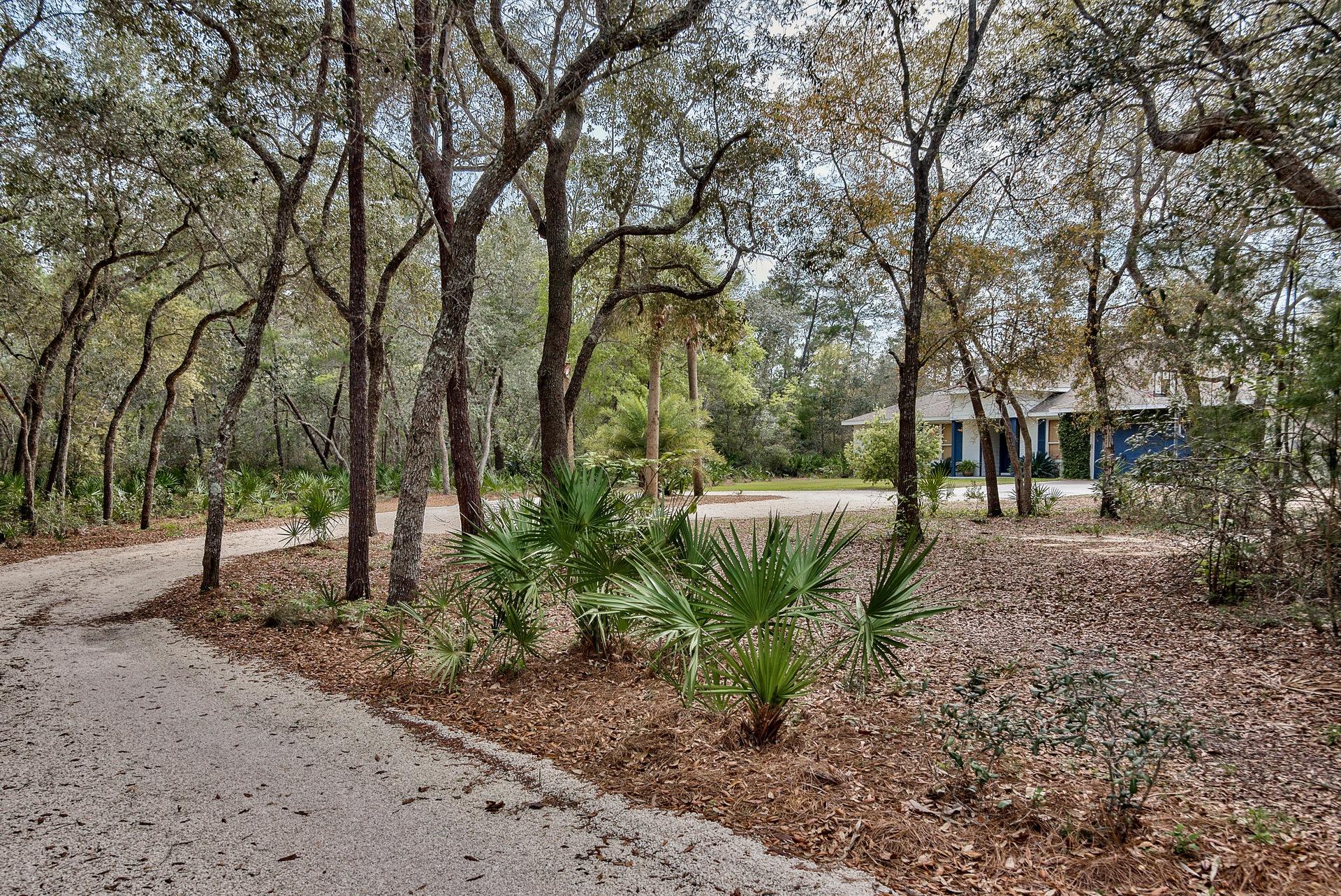 109 West Hodge Road Santa Rosa Beach, FL 32459 - Photo 6 of 47 Driveway & Landscaping