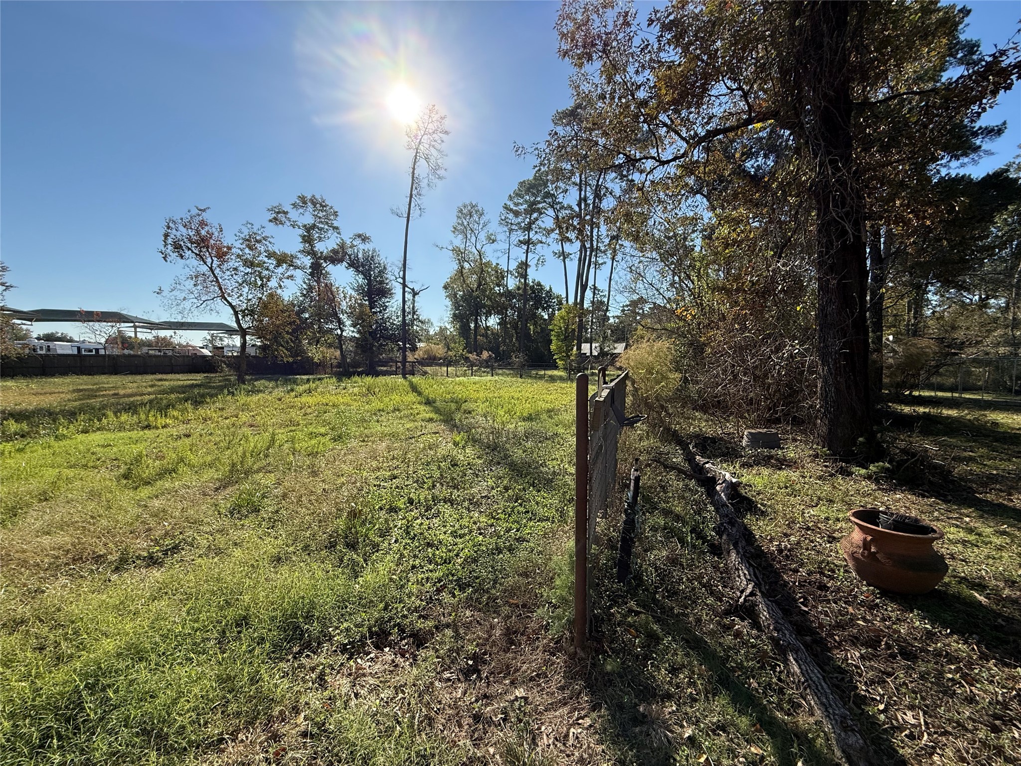 29014 Geneva Drive Spring, TX 77386 - Photo 11 of 14 a backyard of a house with lots of green space