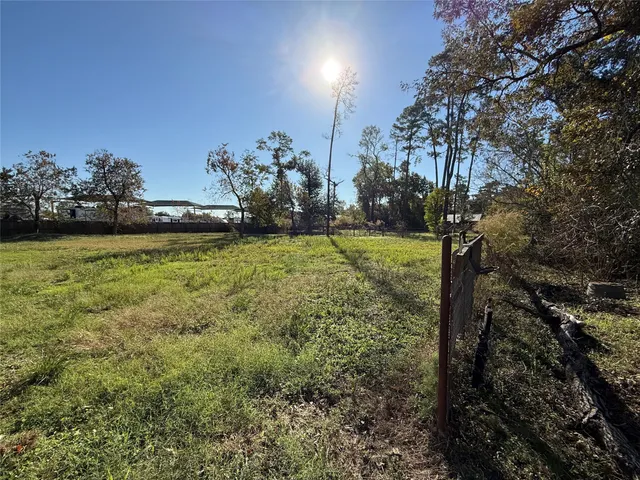 a view of a yard with lots of green space