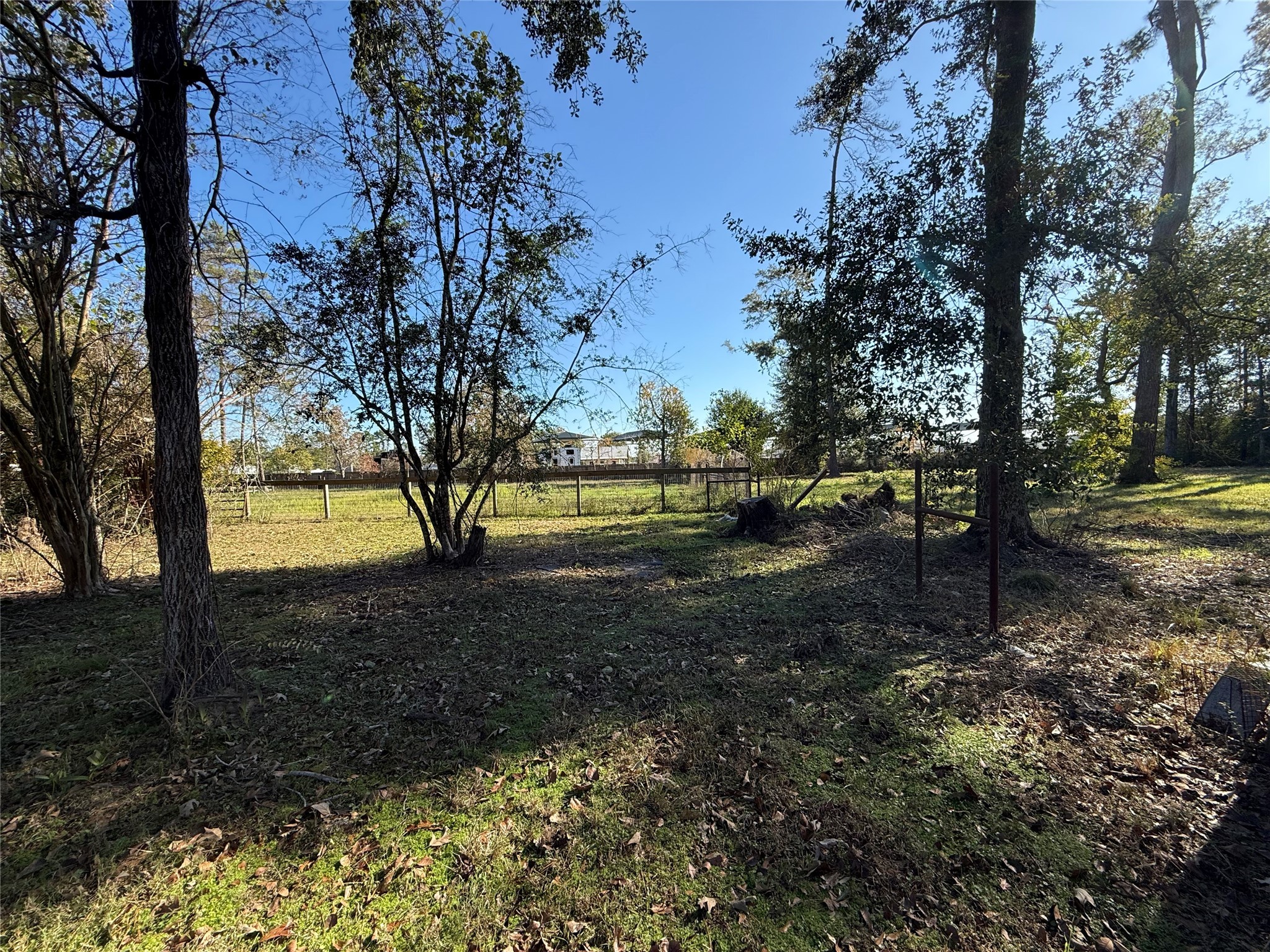 29014 Geneva Drive Spring, TX 77386 - Photo 13 of 14 a view of a yard with lots of green space