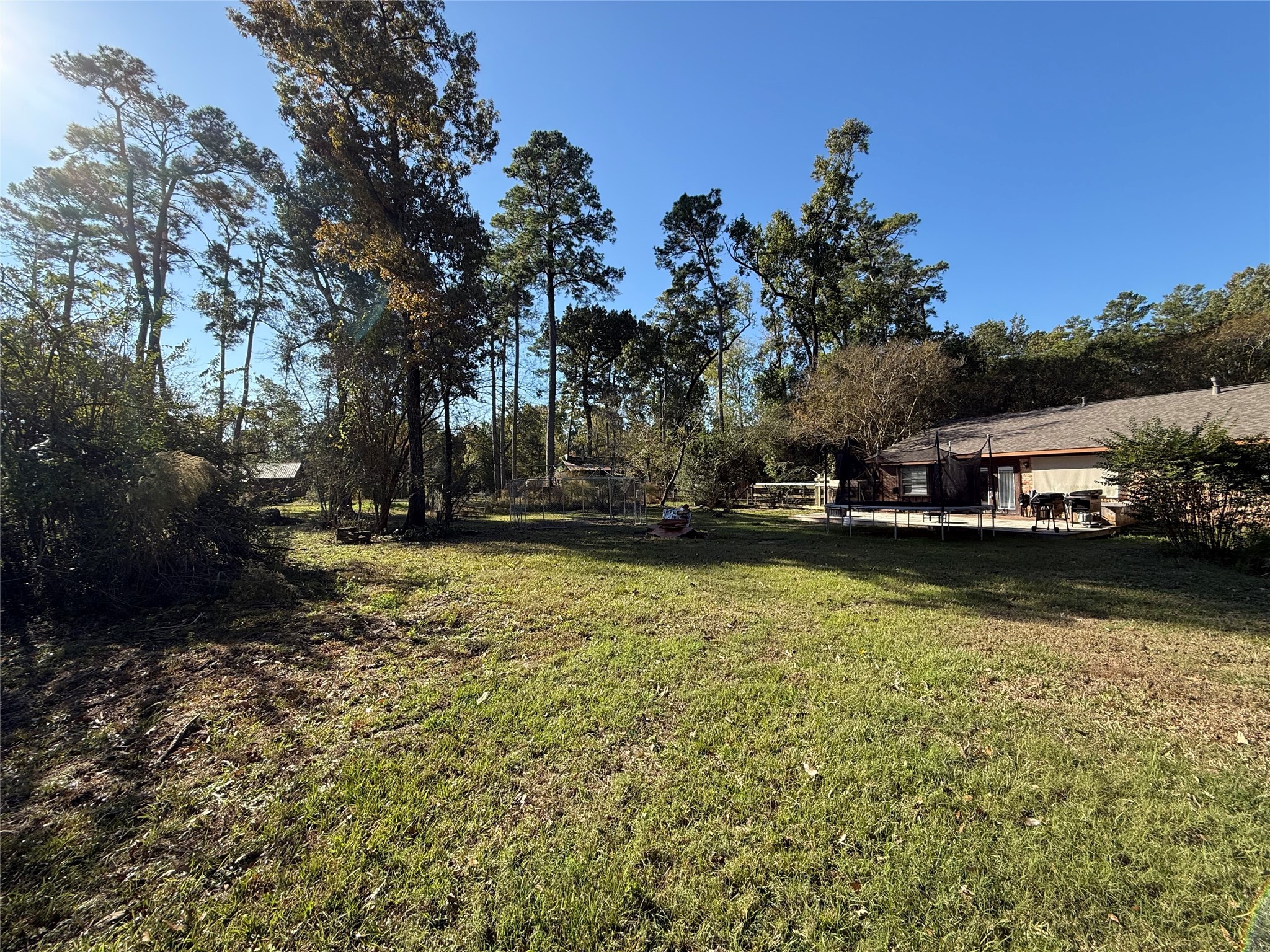 29014 Geneva Drive Spring, TX 77386 - Photo 2 of 14 a view of swimming pool and trees in the background