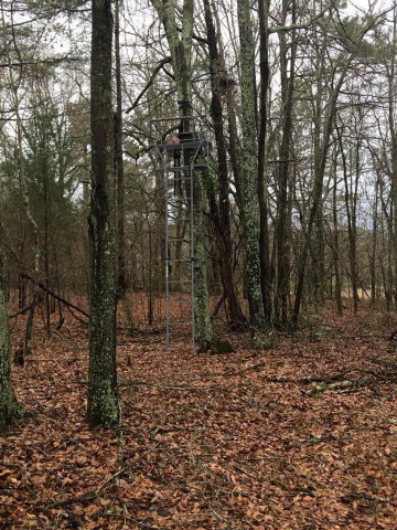 1552 Clary Cut Road Harlem, GA 30814 - Photo 29 of 37 deer stand 1